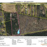 Lot 4 Molita Ln – GIS aerial 2020